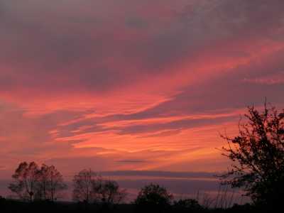 121333997 3812162158835072 8699331143432799983 o