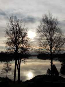 IMG 20230128 104036 (1)