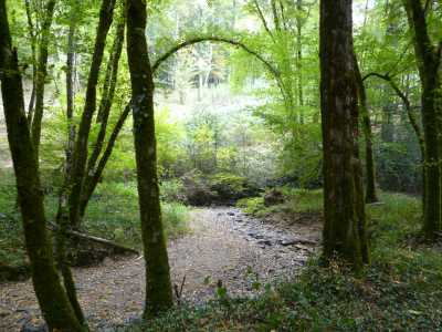 119743995 3735366943181261 4690510371949910459 o