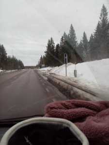 IMG 20230129 141731 (1)