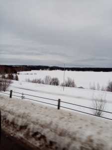 IMG 20230129 140800 (1)