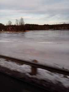 IMG 20230128 153726 (1)