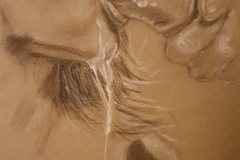 20160126_200919-kopie-2