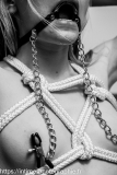 seance-fouet-plug-2
